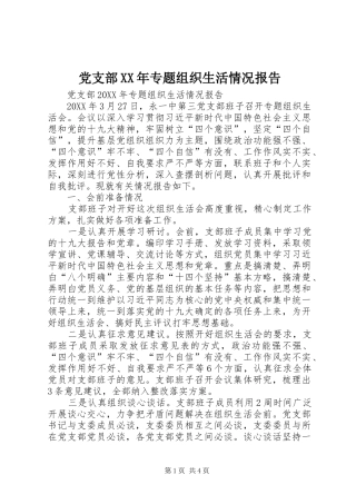 2024年党支部专题组织生活情况报告