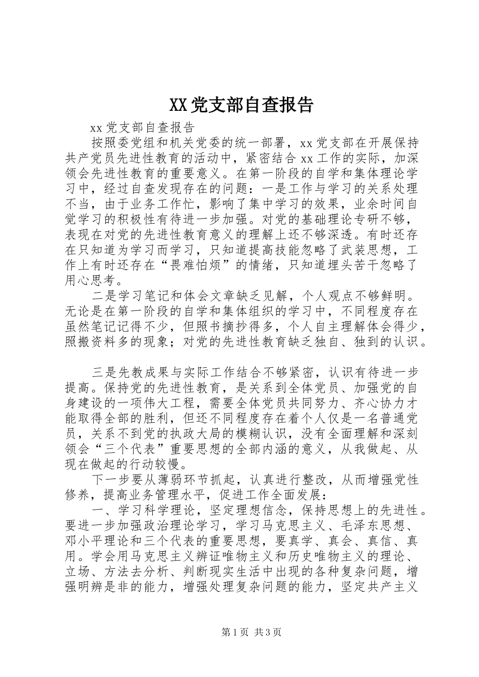 2024年党支部自查报告_第1页