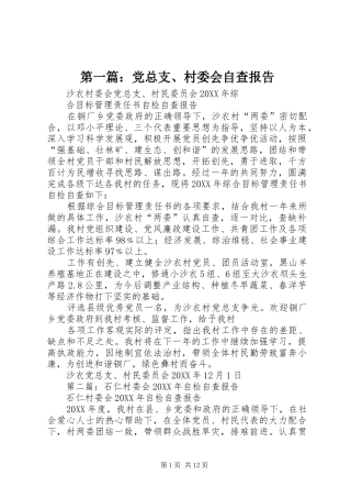 2024年党总支村委会自查报告