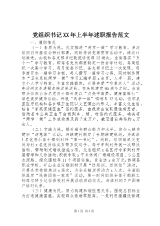 2024年党组织书记上半年述职报告范文