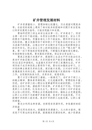 2024年矿井管理发展材料