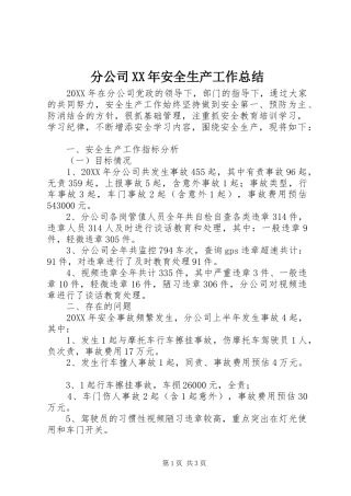 2024年分公司安全生产工作总结