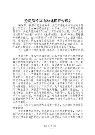 2024年分局局长终述职报告范文