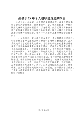 2024年副县长个人述职述责述廉报告