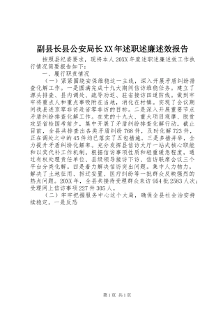 2024年副县长县公安局长述职述廉述效报告