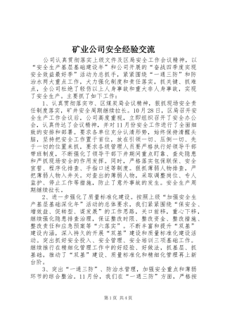 2024年矿业公司安全经验交流