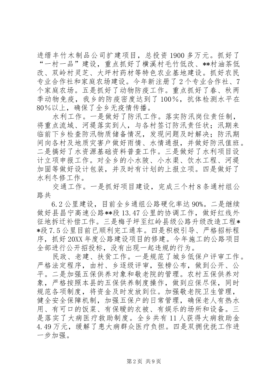 2024年个人副乡长工作总结_第2页