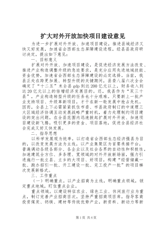 2024年扩大对外开放加快项目建设意见