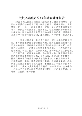 2024年公安分局副局长述职述廉报告