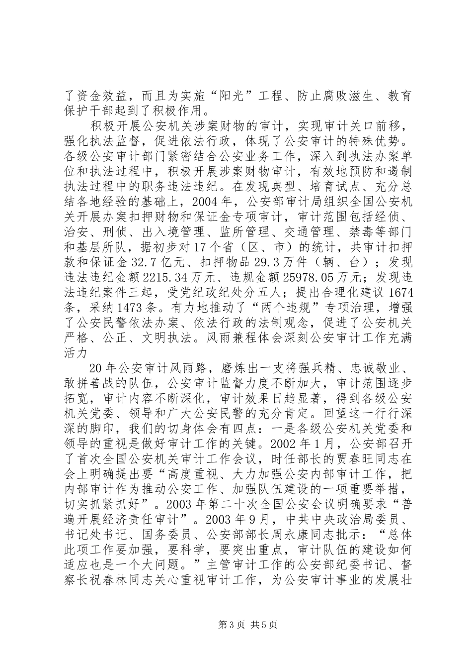 2024年公安审计工作回顾与展望_第3页
