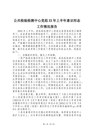 2024年公共检验检测中心党组上半年意识形态工作情况报告
