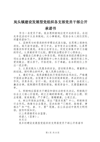 2024年岚头镇建设发展型党组织各支部党员干部公开承诺书