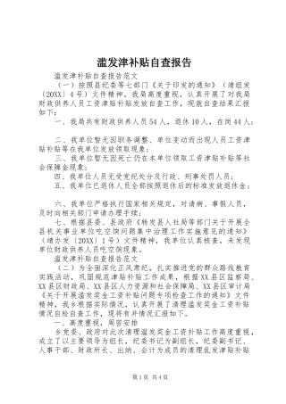 2024年滥发津补贴自查报告