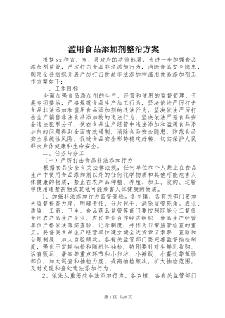 2024年滥用食品添加剂整治方案