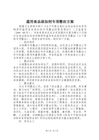 2024年滥用食品添加剂专项整治方案