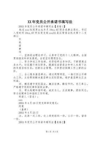 2024年党员公开承诺书填写法