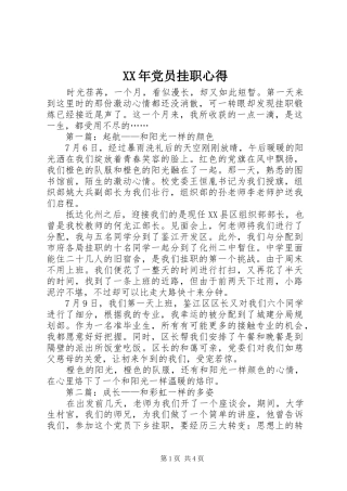 2024年党员挂职心得