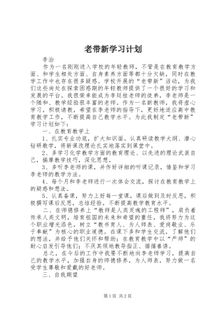 2024年老带新学习计划