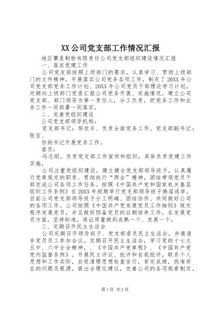 2024年公司党支部工作情况汇报