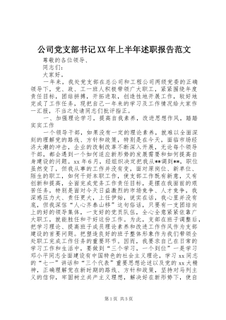 2024年公司党支部书记上半年述职报告范文