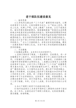 2024年老干部队伍建设意见