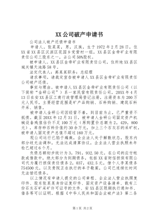 2024年公司破产申请书