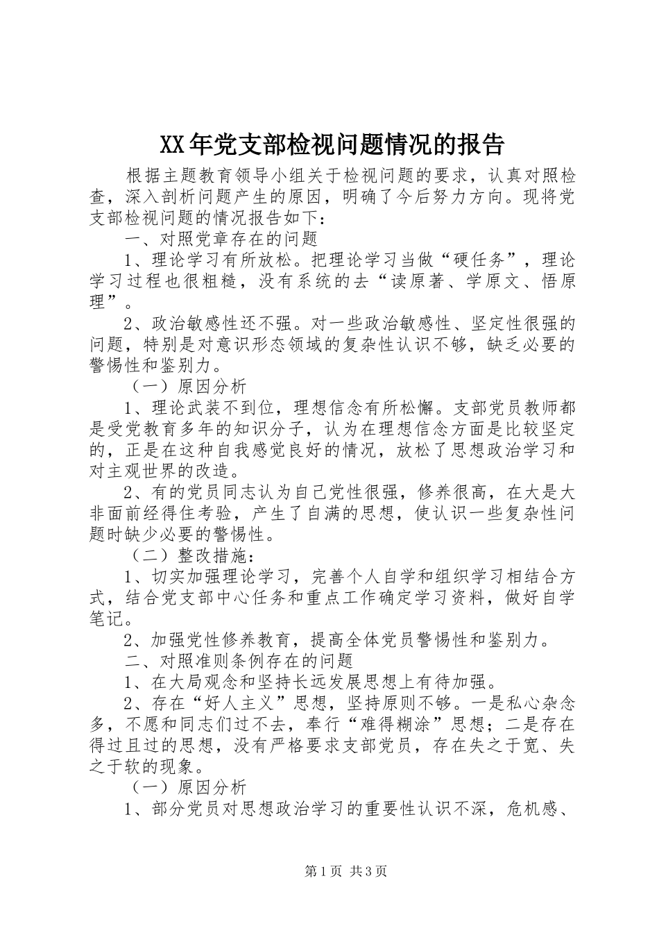2024年党支部检视问题情况的报告_第1页
