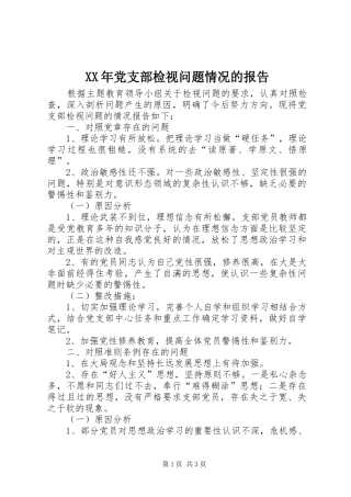 2024年党支部检视问题情况的报告