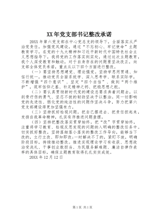 2024年党支部书记整改承诺