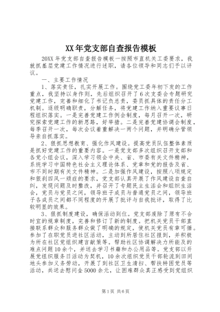 2024年党支部自查报告模板