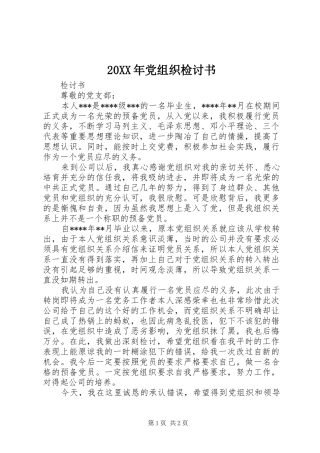 2024年党组织检讨书