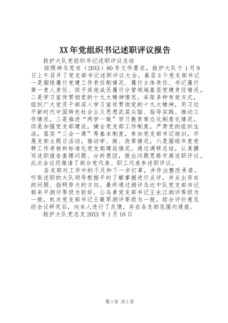 2024年党组织书记述职评议报告