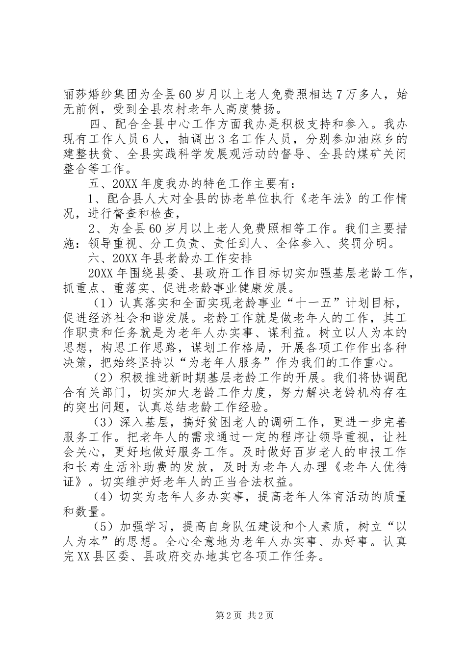2024年老龄办总结与工作计划_第2页
