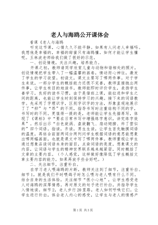 2024年老人与海鸥公开课体会