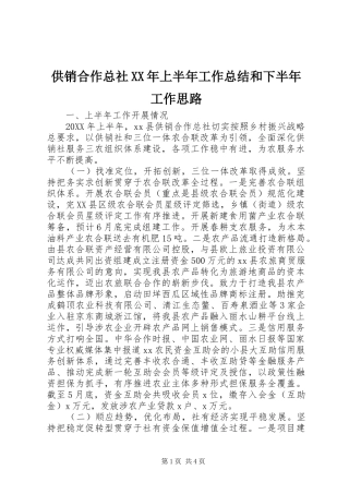 2024年供销合作总社上半年工作总结和下半年工作思路