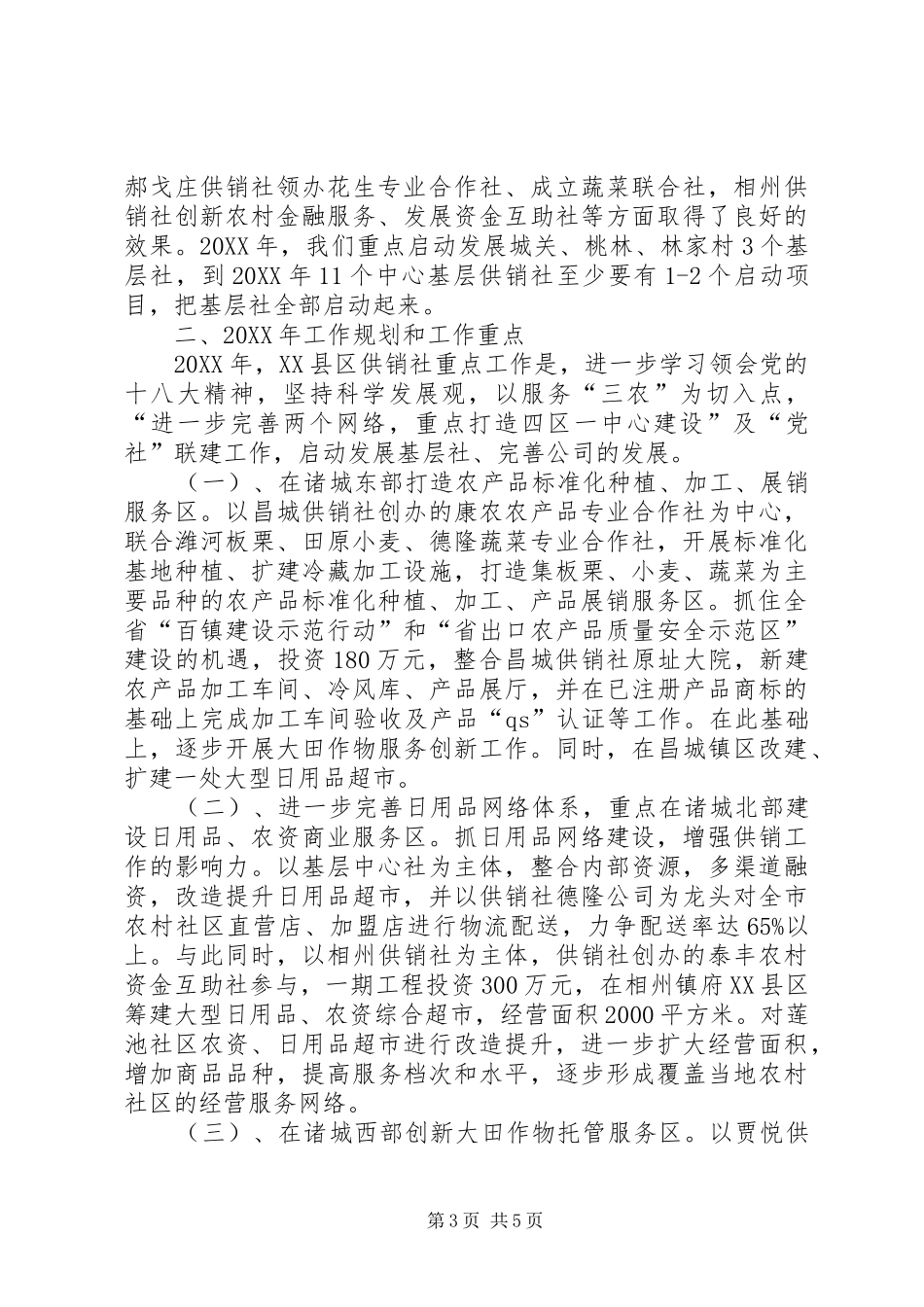 2024年供销社工作规划_第3页