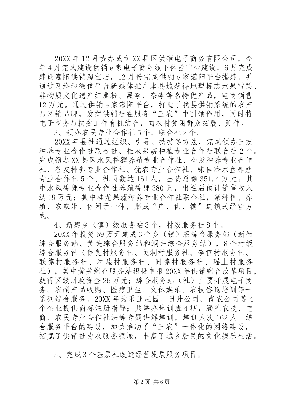 2024年供销社工作总结和工作要点_第2页