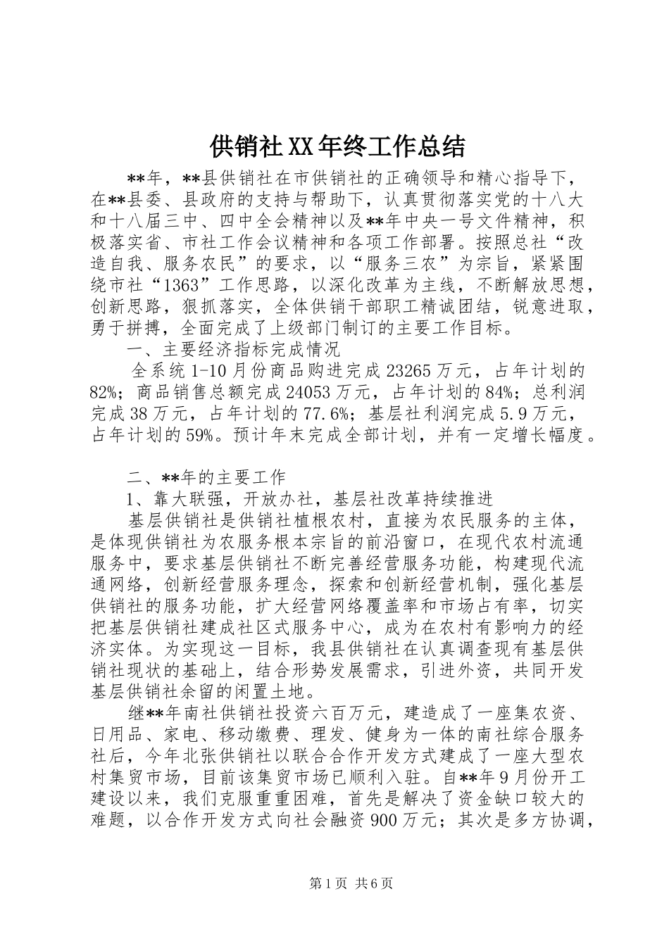 2024年供销社终工作总结_第1页