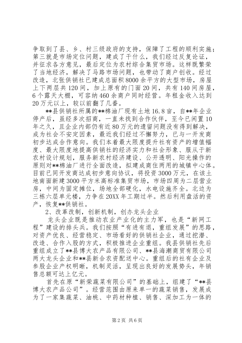 2024年供销社终工作总结_第2页