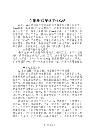 2024年供销社终工作总结