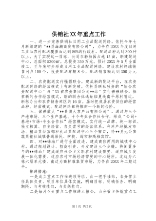 2024年供销社重点工作