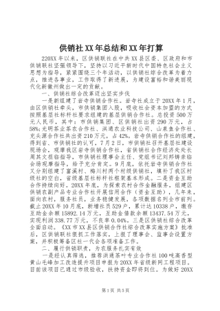 2024年供销社总结和打算