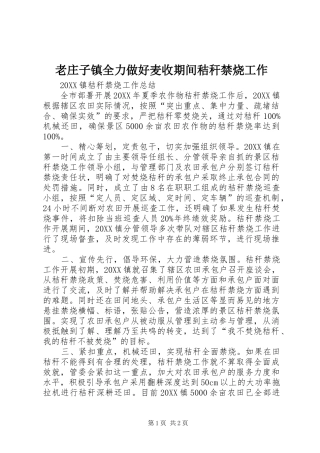 2024年老庄子镇全力做好麦收期间秸秆禁烧工作