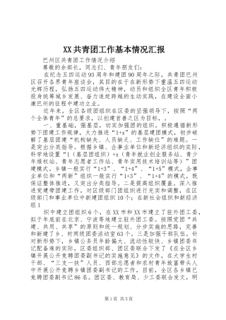 2024年共青团工作基本情况汇报