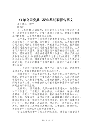 2024年公司党委书记年终述职报告范文