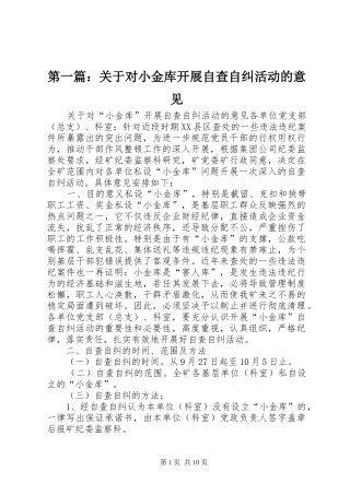 2024年关于对小金库开展自查自纠活动的意见