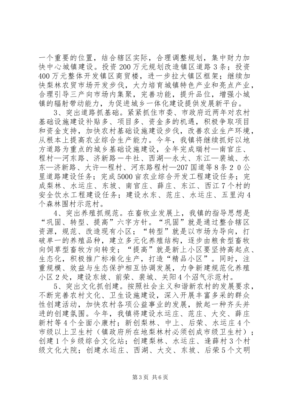 2024年梨林镇工作要点_第3页