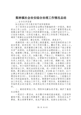 2024年梨林镇社会治安综合治理工作情况总结