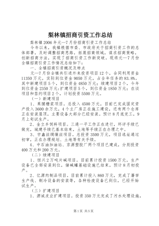 2024年梨林镇招商引资工作总结