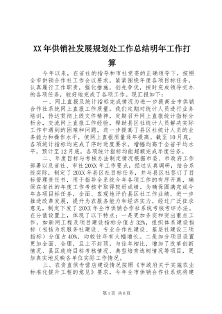 2024年供销社发展规划处工作总结明年工作打算